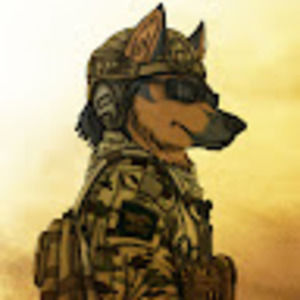 Meet your Posher, Greyden